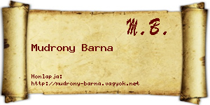 Mudrony Barna névjegykártya