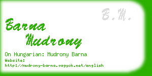 barna mudrony business card